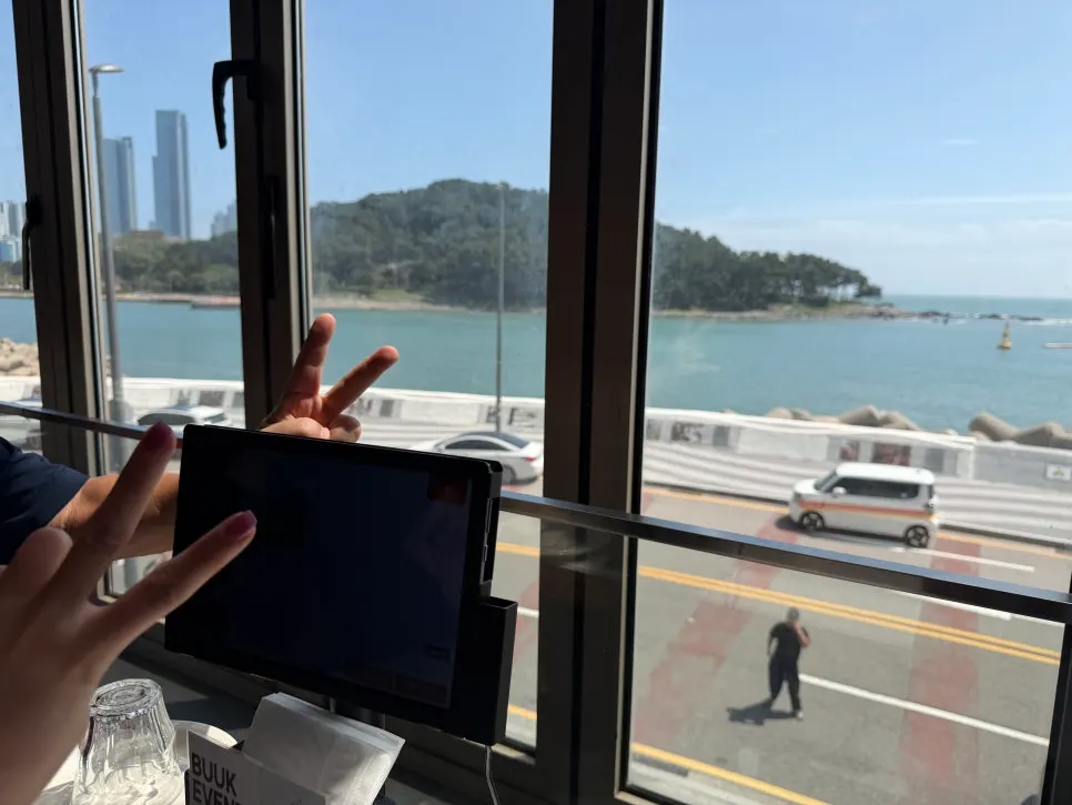 Dongbaekseom ocean view from the window