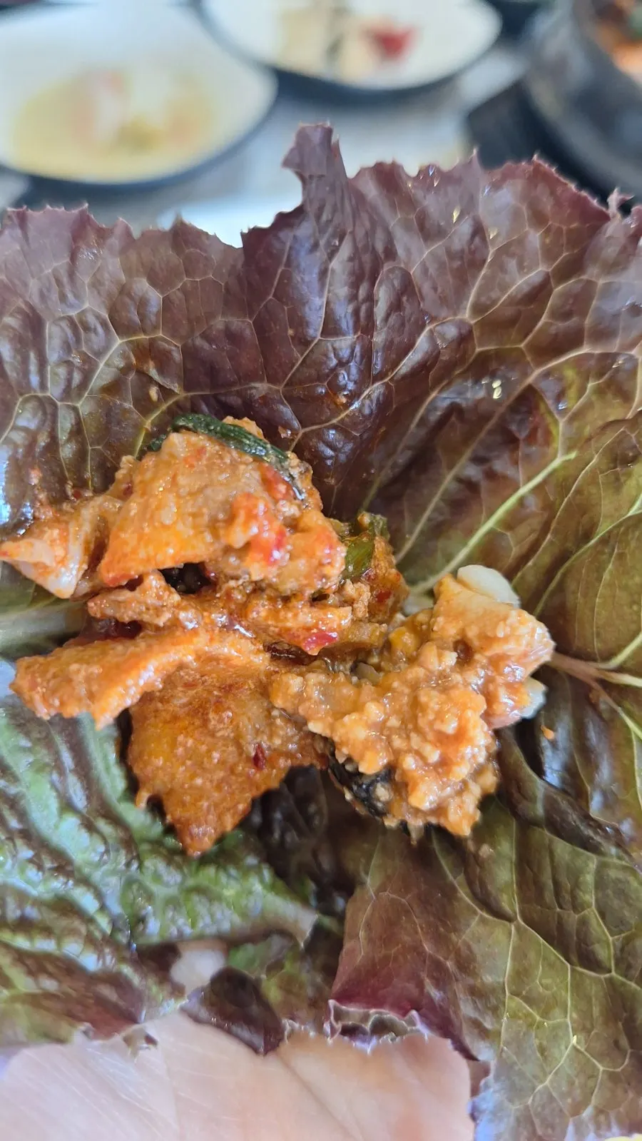 Close-up of the heavily sauced spicy pork stir-fry