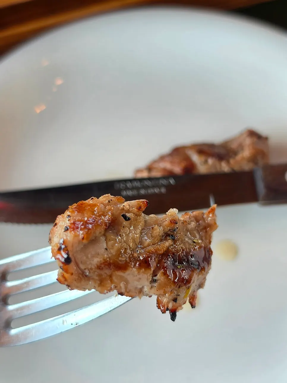 A piece of shashlik meat with sauce