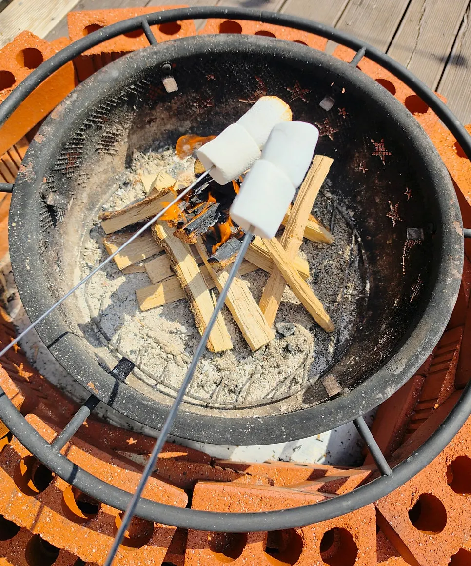 Outdoor campfire area at Shashlik Masan Branch