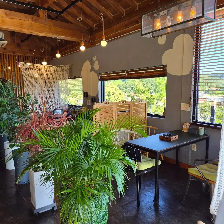 Neatly arranged indoor seating