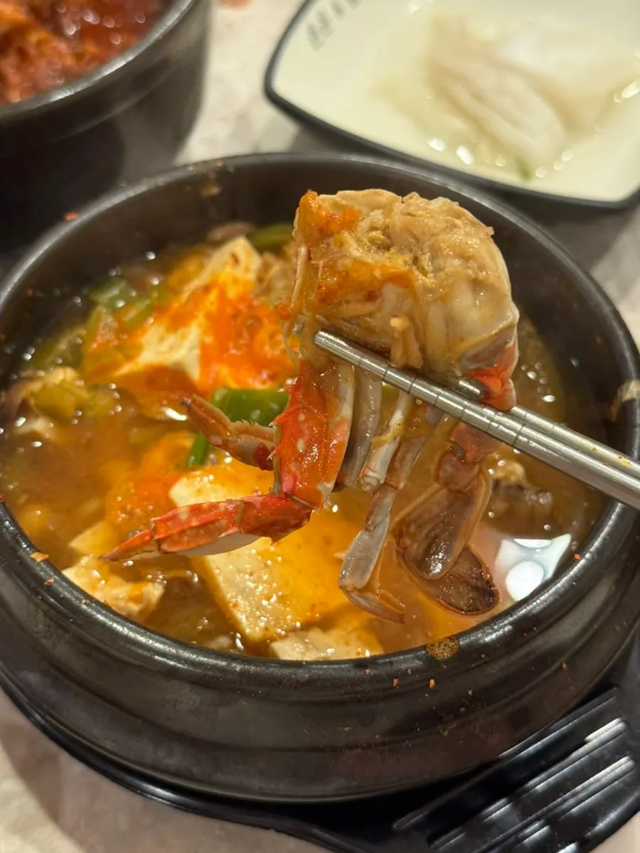 Pan-fried acorn jelly and doenjang-jjigae spread