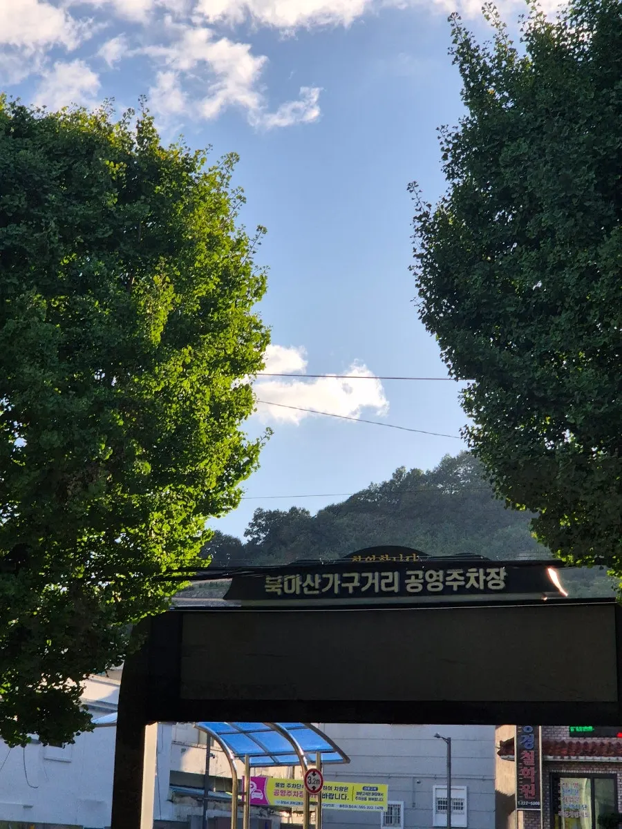 식사를 마친 윤식당 정식 상차림