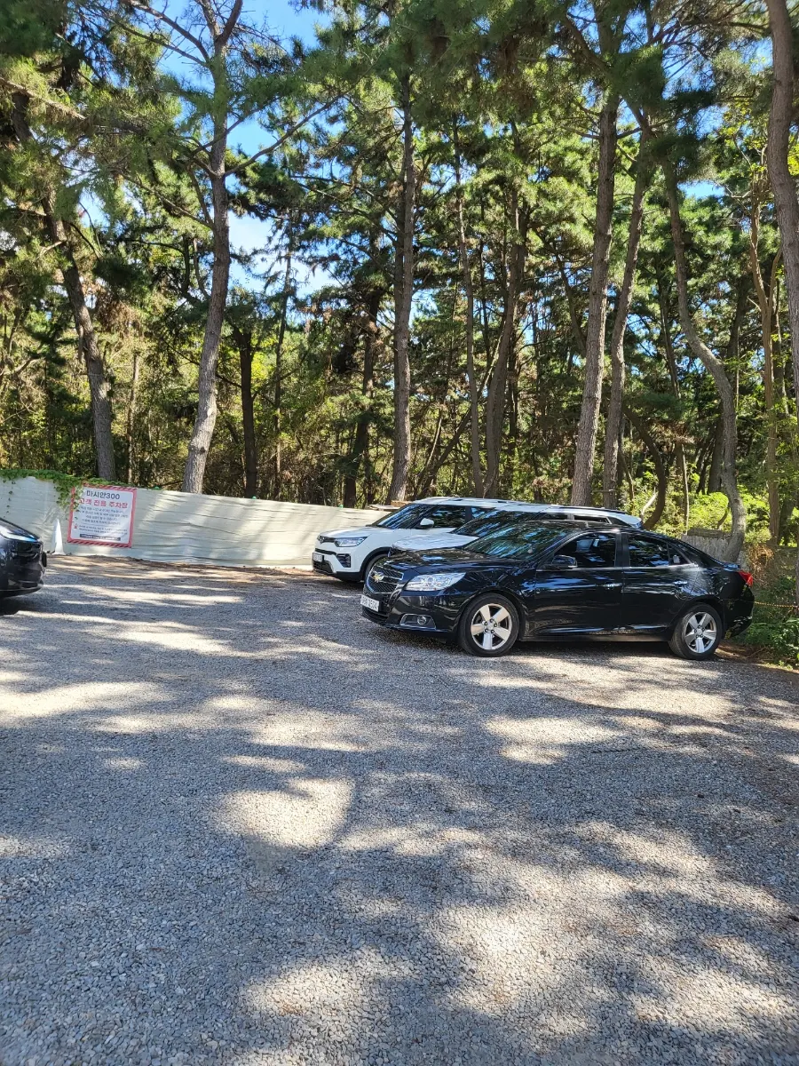 Private parking lot next to Masian 300