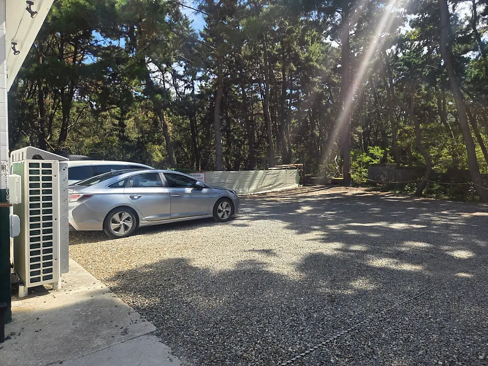Wide parking lot set up next to the store