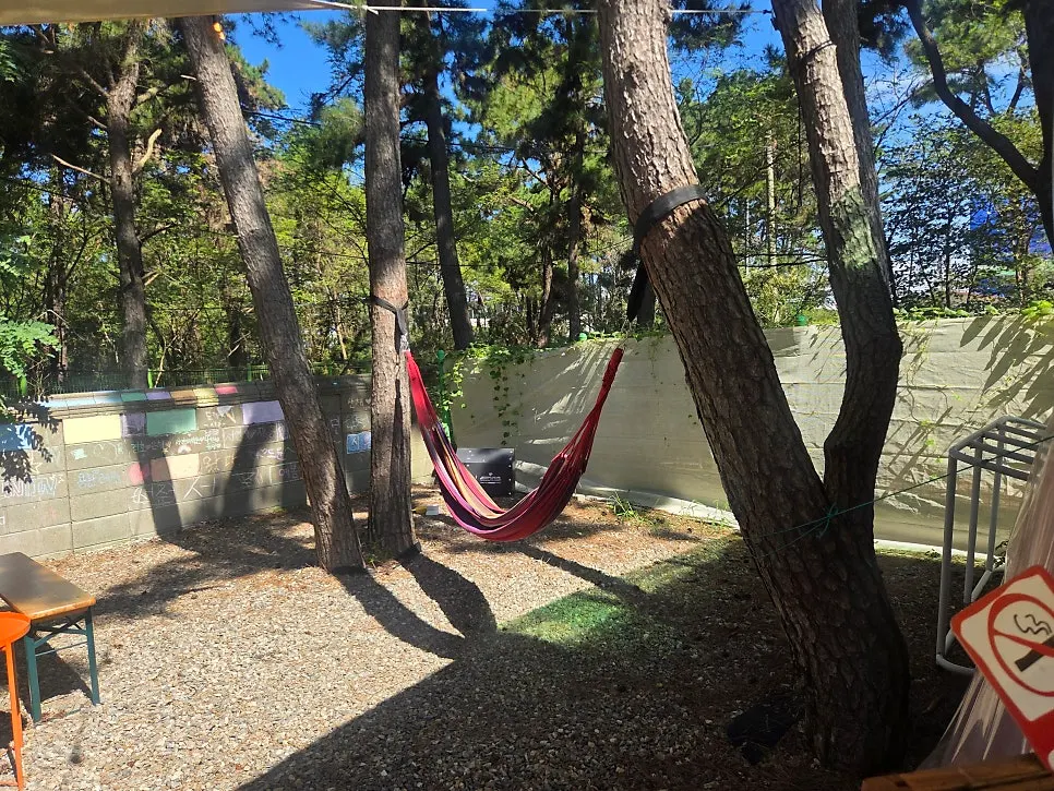 Hammock set up in the outdoor area