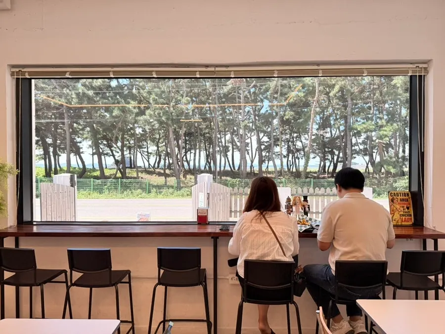 소나무와 해변이 보이는 마시안300 창가 오션뷰