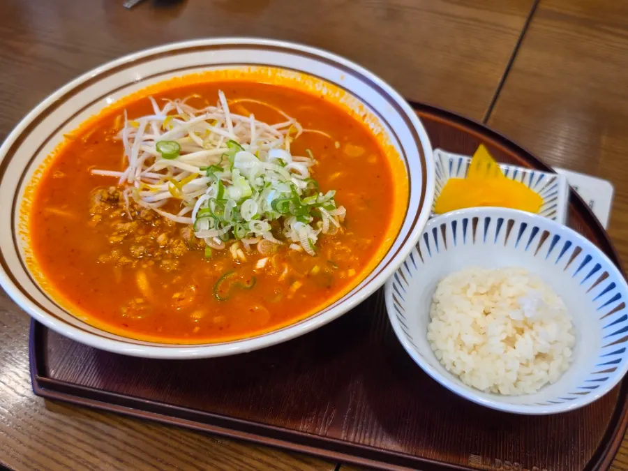 The first dish to arrive, spicy tantanmen udon