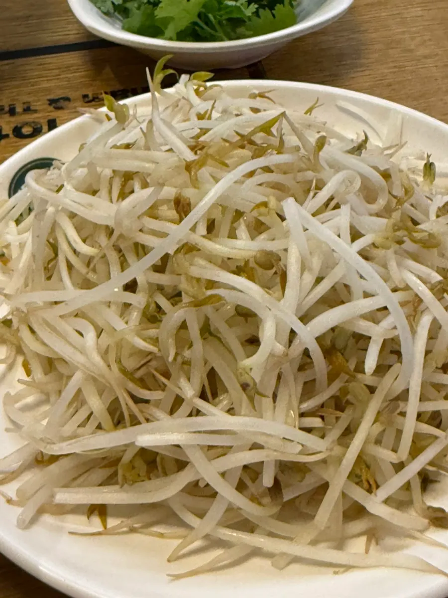 커다란 그릇에 담긴 쌀국수 두 그릇