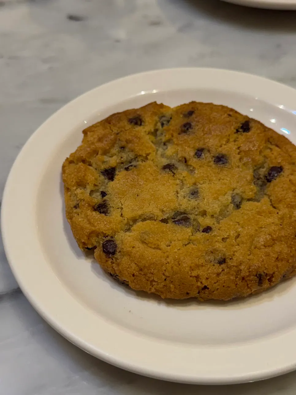 Chocolate chip cookie from MELA Hongdae
