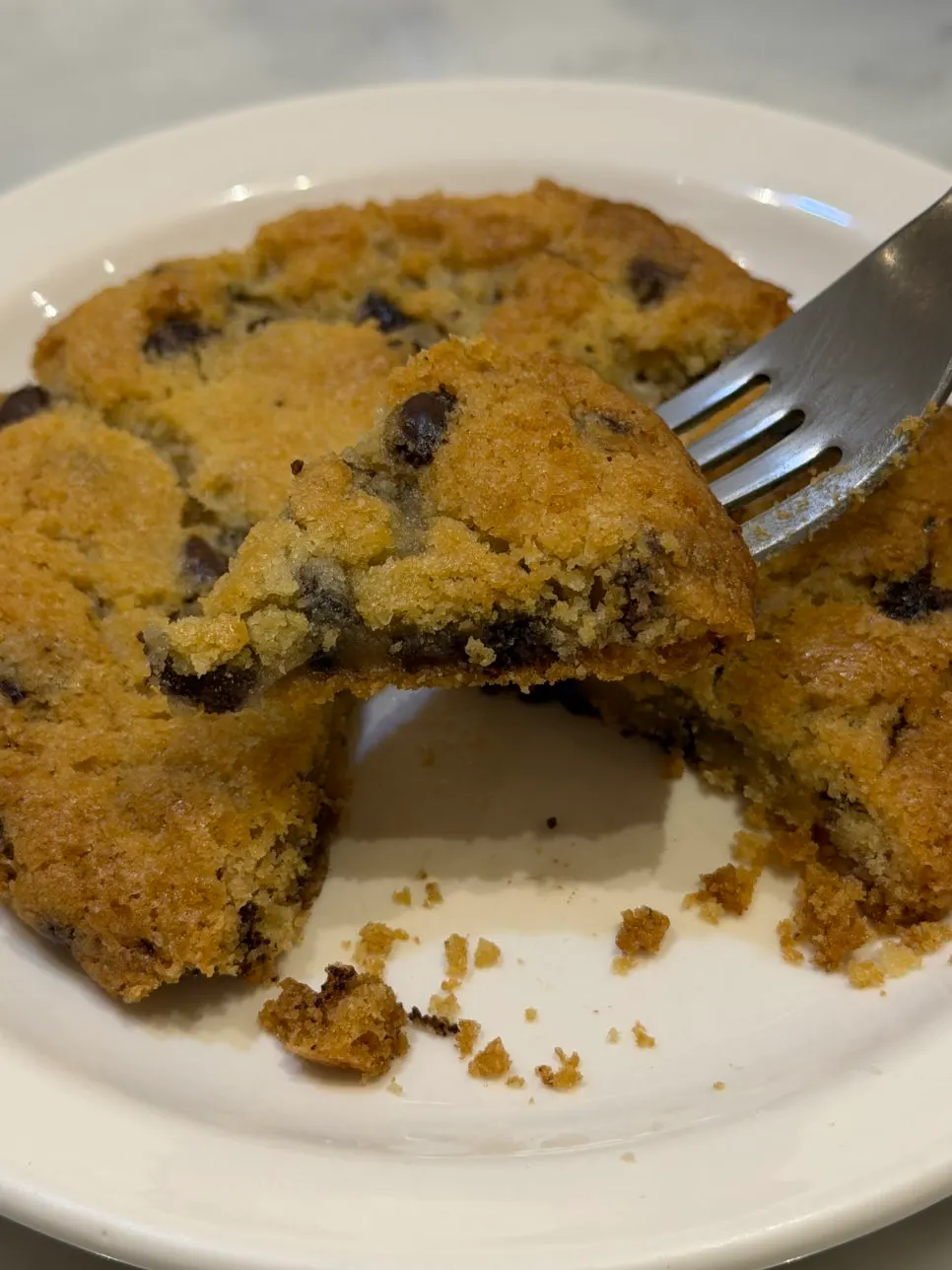 The chocolate chip cookie chosen as dessert after the meal