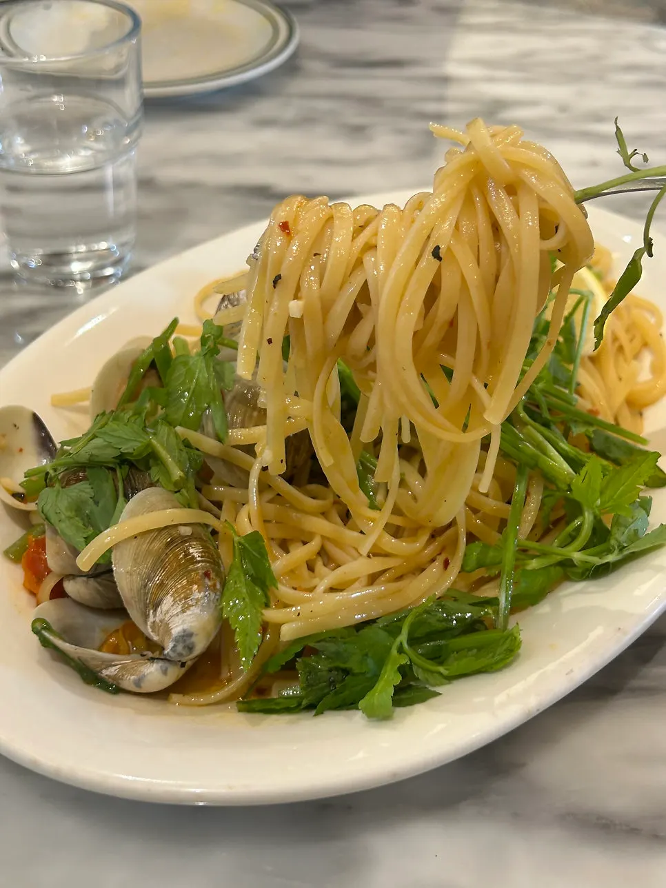 Minari vongole linguine topped with fresh water dropwort