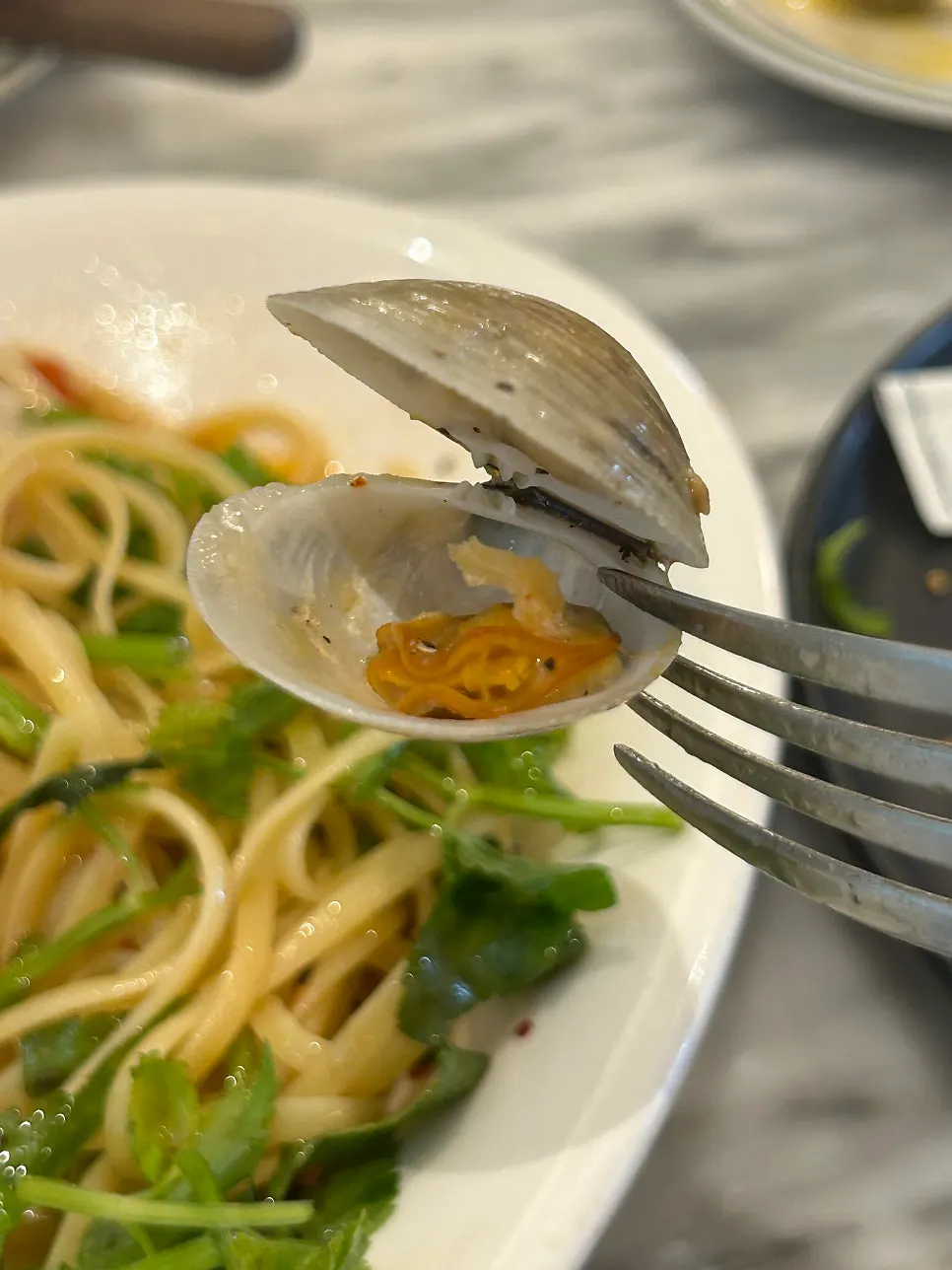 Seoyo-dong brunch visit by car with 1-hour free parking and minari vongole, MELA Hongdae