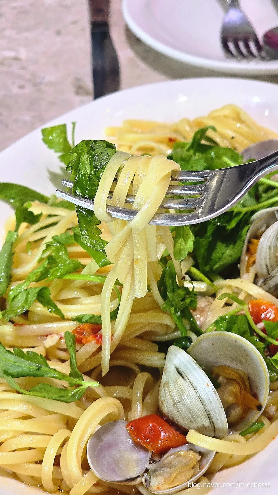 Close-up of vongole pasta topped with clams and minari