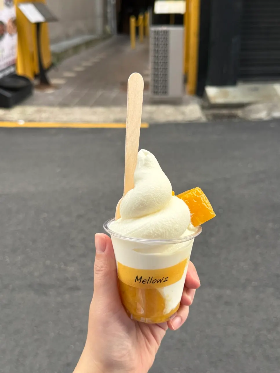 Mango ice cream topped with fruit
