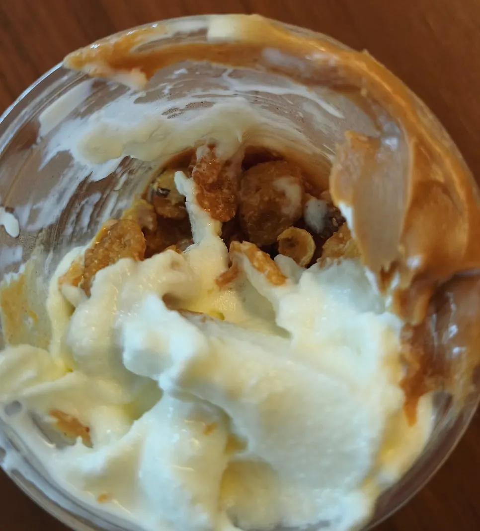 Cereal and nuts layered at the bottom of the cup