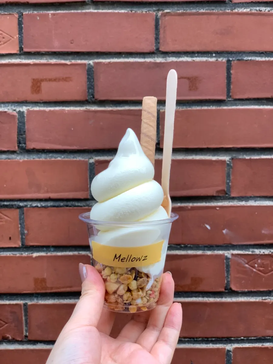 Granola laid underneath the ice cream