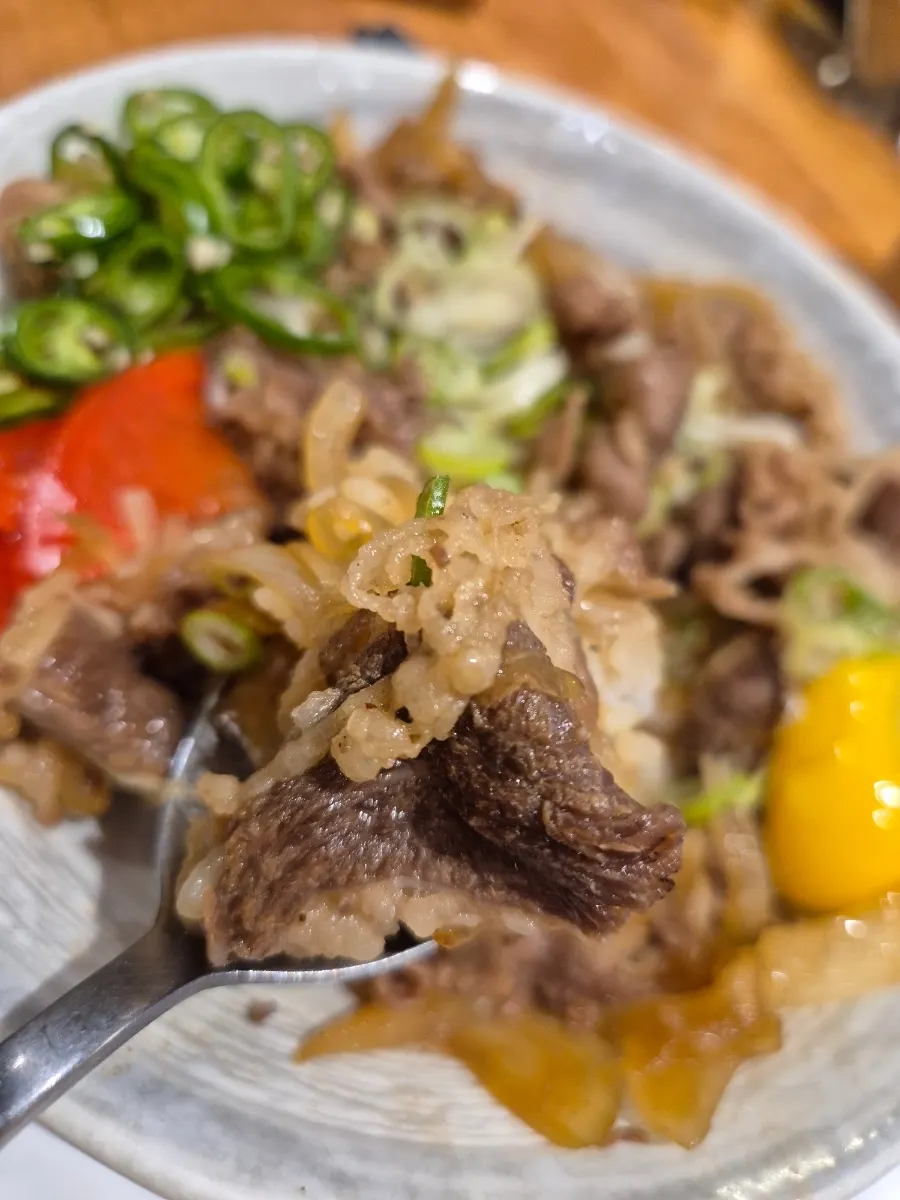 A bowl of gyudon from Mentsuru