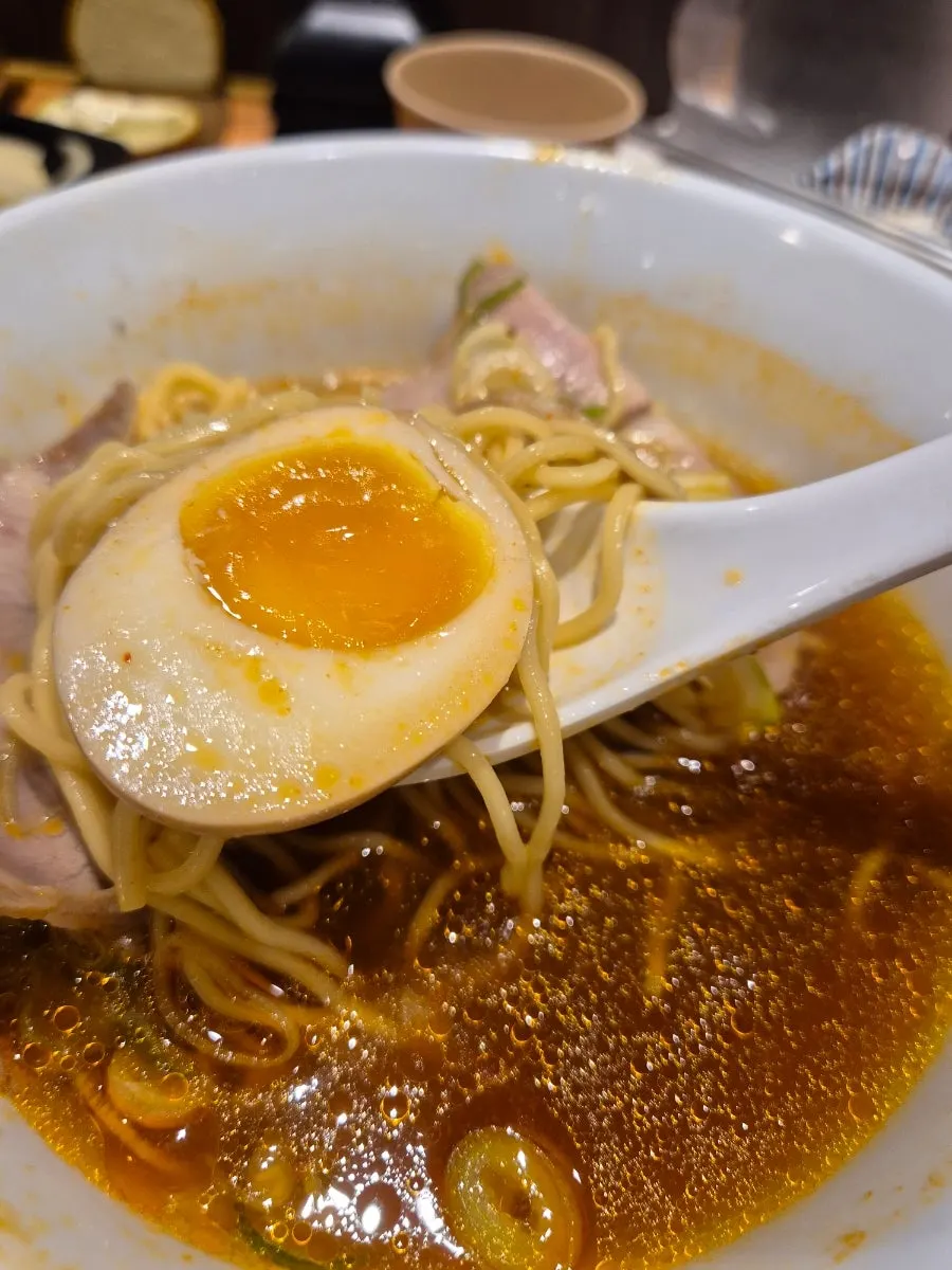 Close-up of the mild gyudon