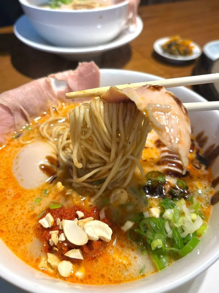 Thick broth and noodles of the tori paitan ramen