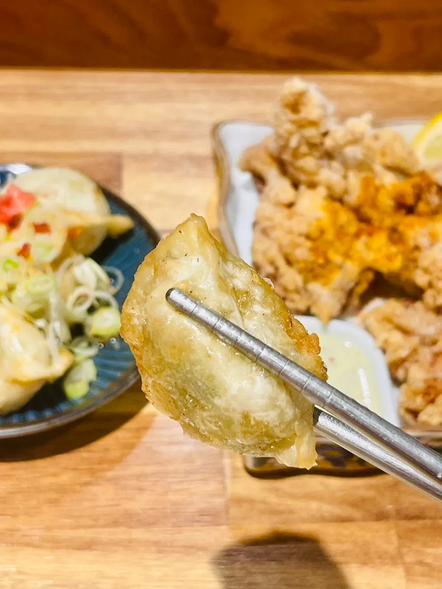 Close-up of sauce-drizzled gyoza fry