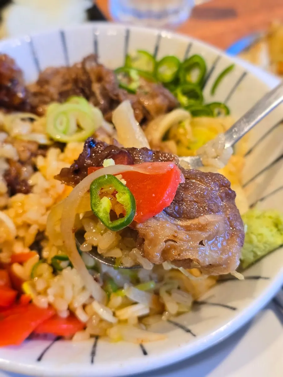 Fluffy rice with hormone-don ingredients on top