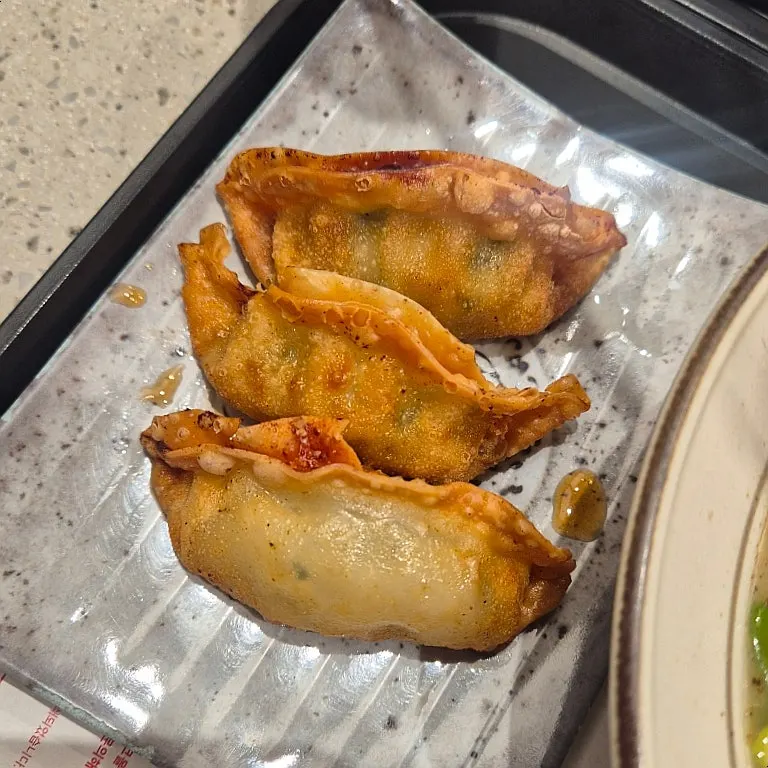 Small-size crispy gyoza with sauce underneath