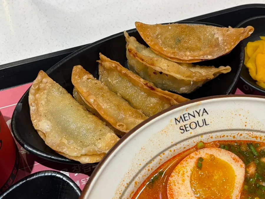 Plate of crispy fried gyoza dumplings