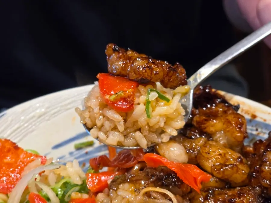 Hormone-don with daechang and beef brisket slices