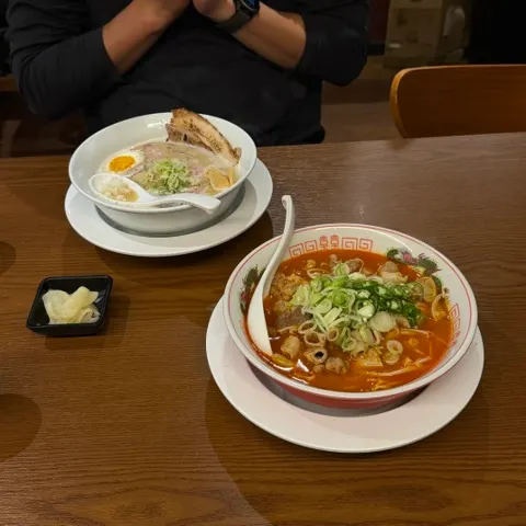 Two bowls, motsu ramen and tori paitan, on the table