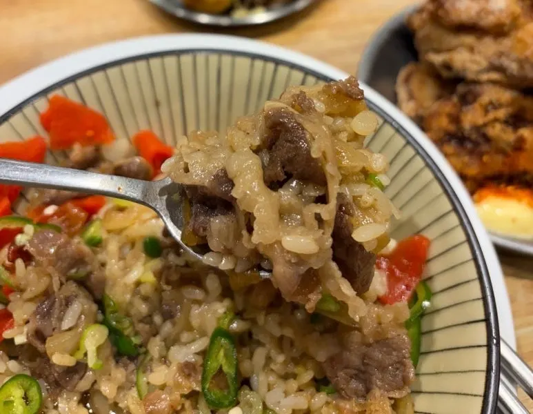 Gyudon loaded with green onion and onion
