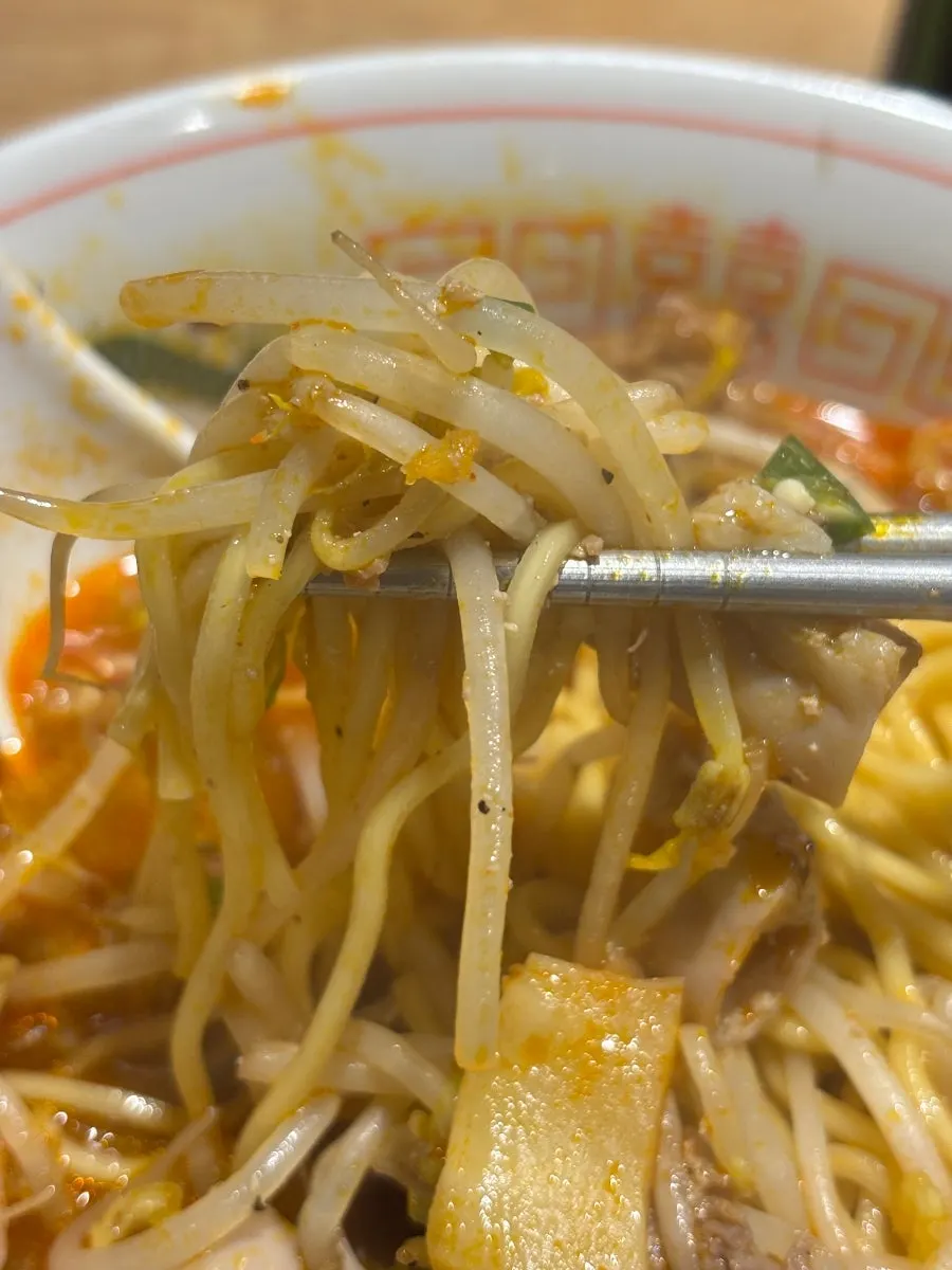 Motsu ramen showing bean sprouts and bamboo shoots