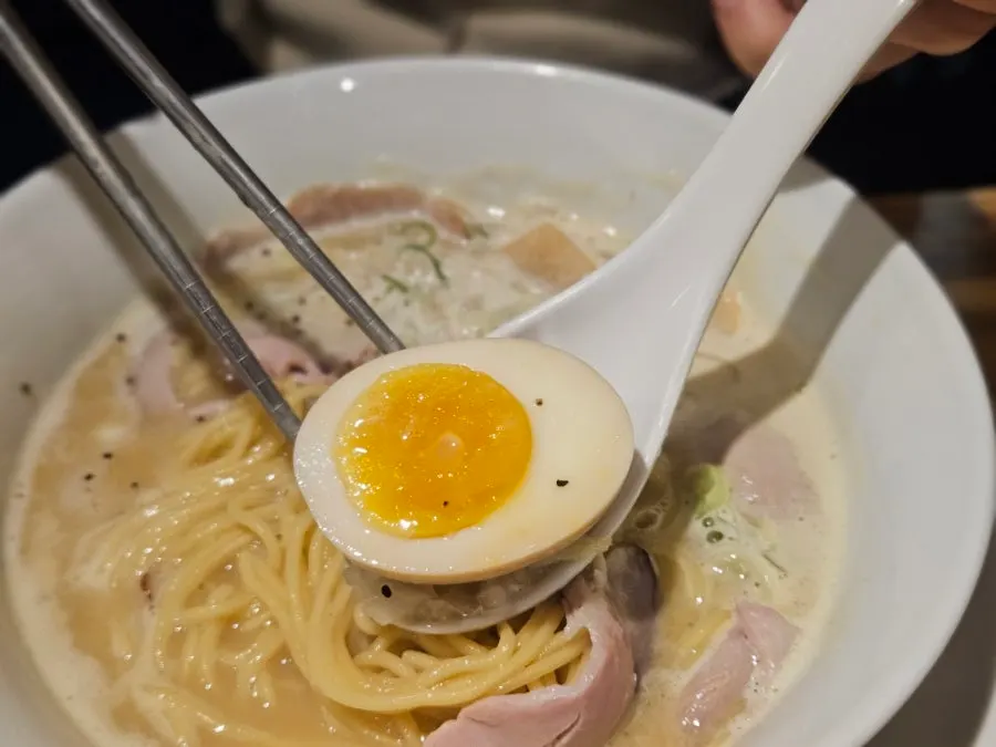 Noodles coated in the rich broth