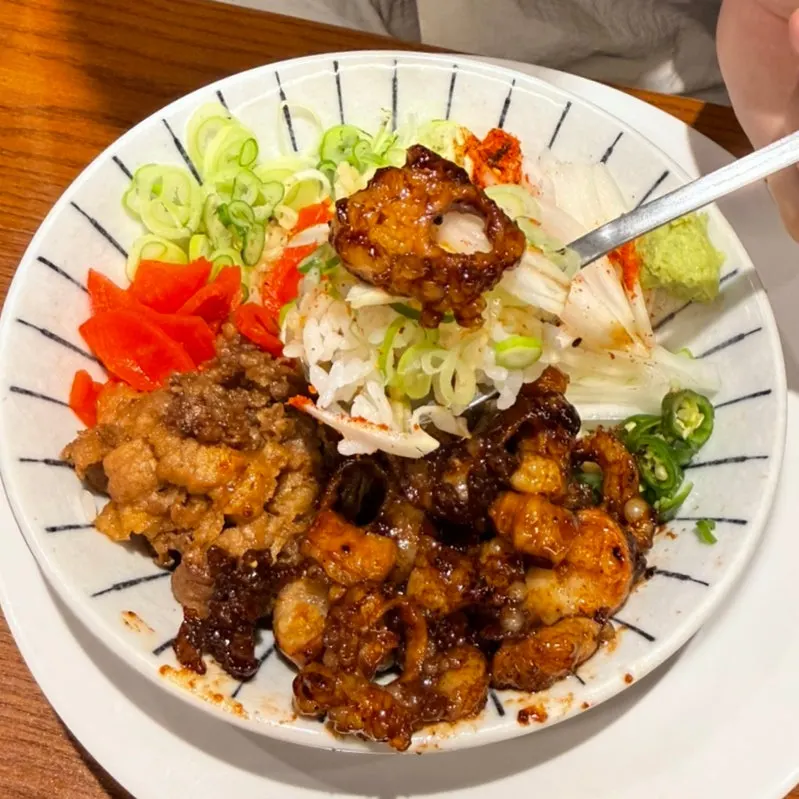 Close-up of hormone-don with sauce mixed into the rice