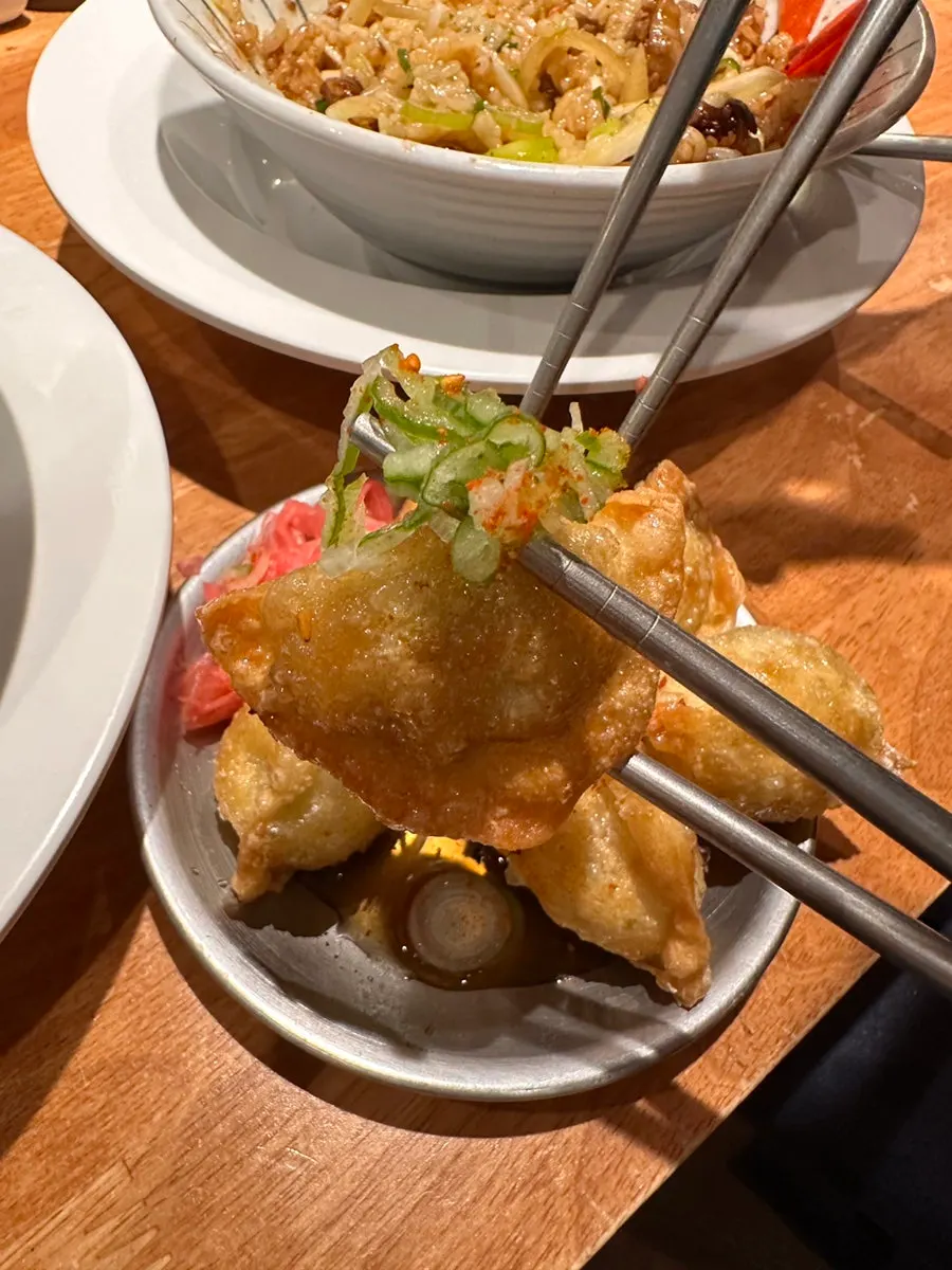 Close-up of crispy-fried gyoza dumplings