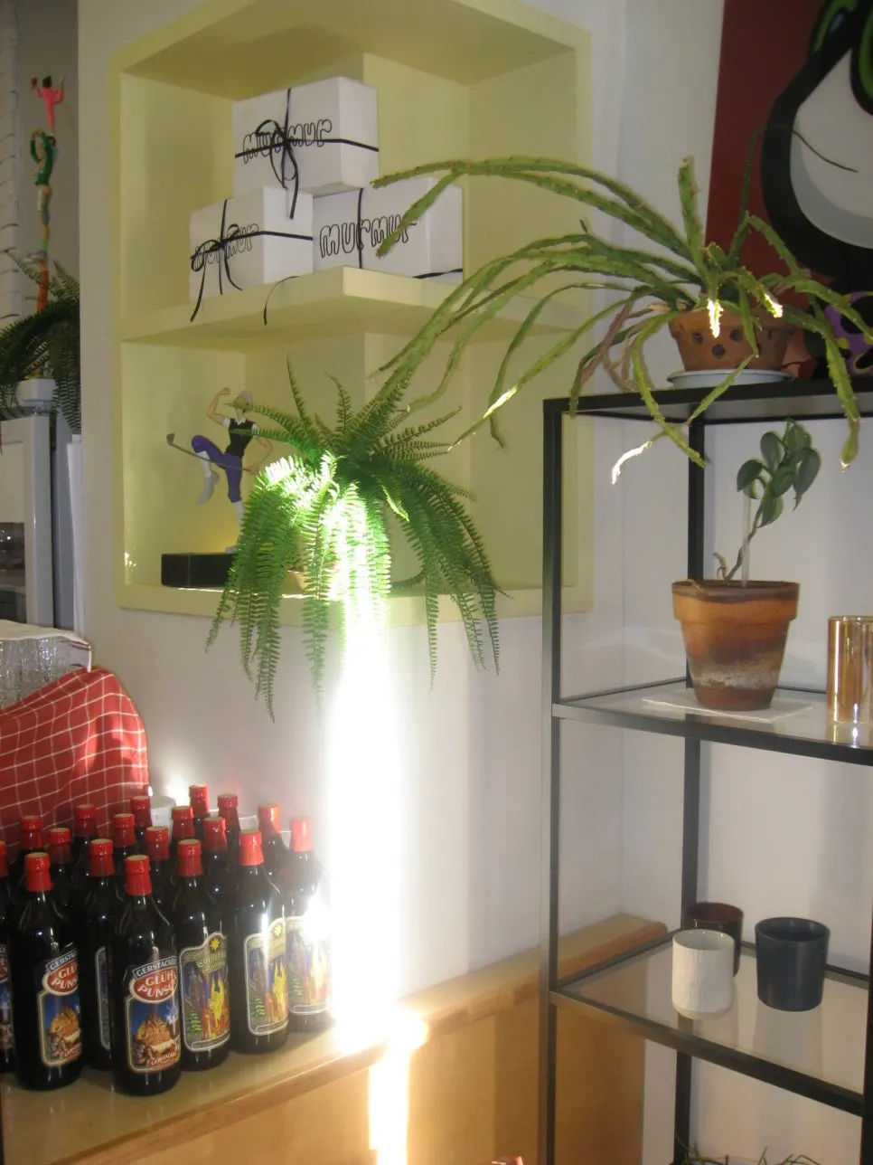 Café interior corner with plants