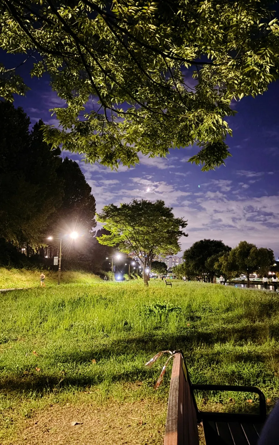Night walk path along Tancheon near Meolmeol Pangyo