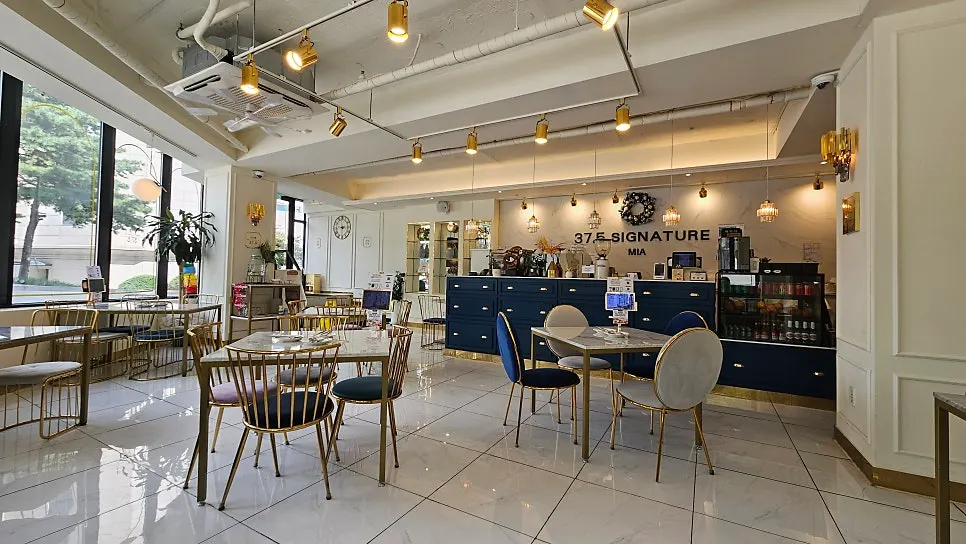 Spacious table area lit by window light