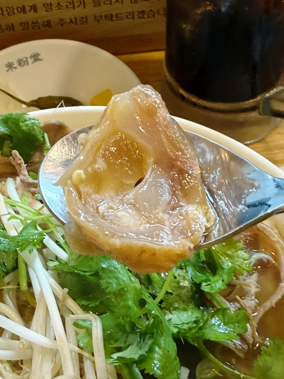 Close-up of noodles and bean sprouts in the pho