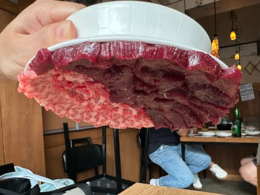 접시 뒤집기 실험 중인 뭉티기