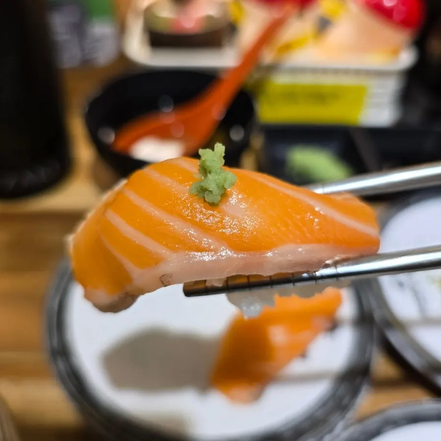Plate of raw fish sushi