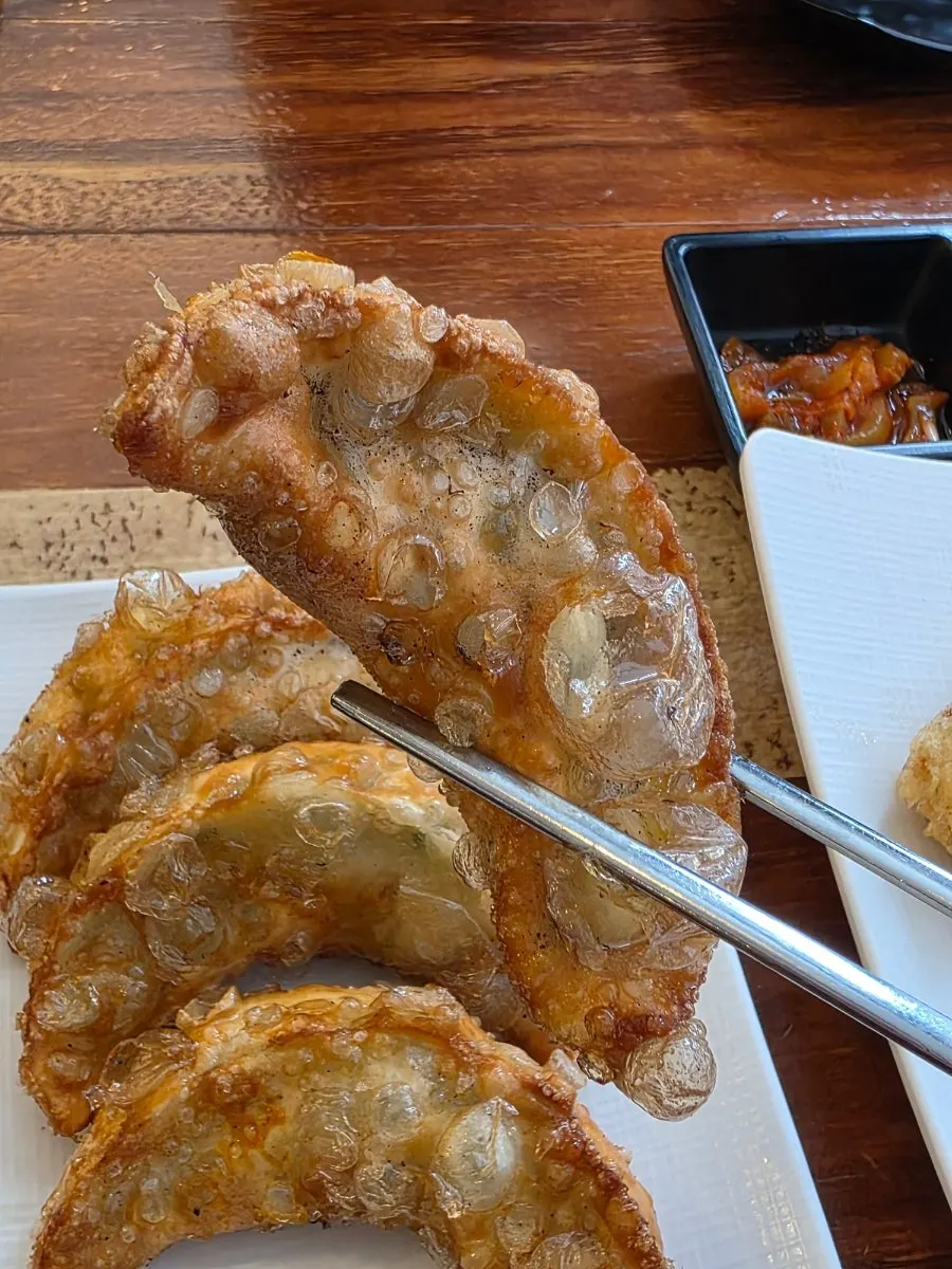 A large gunmandu lifted with chopsticks