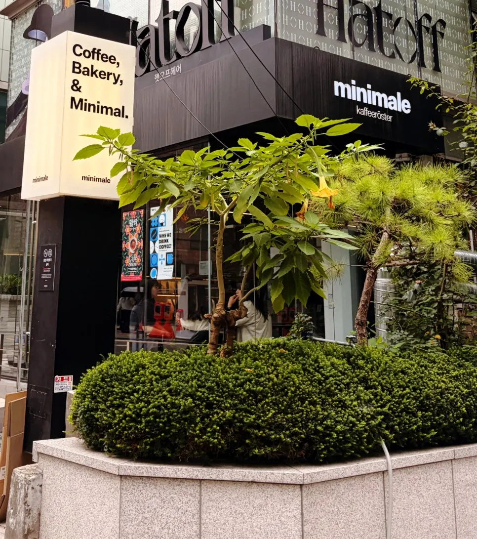 Store display of in-house roasted specialty beans