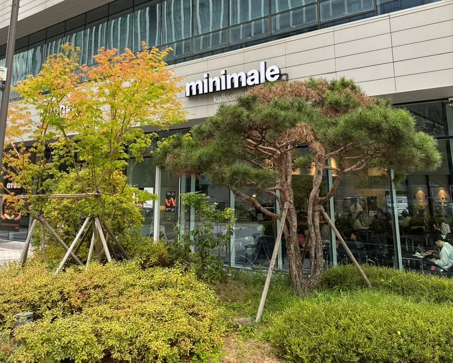 Exterior view of Minimale Coffee Roaster Gwacheon Knowledge Information Town branch