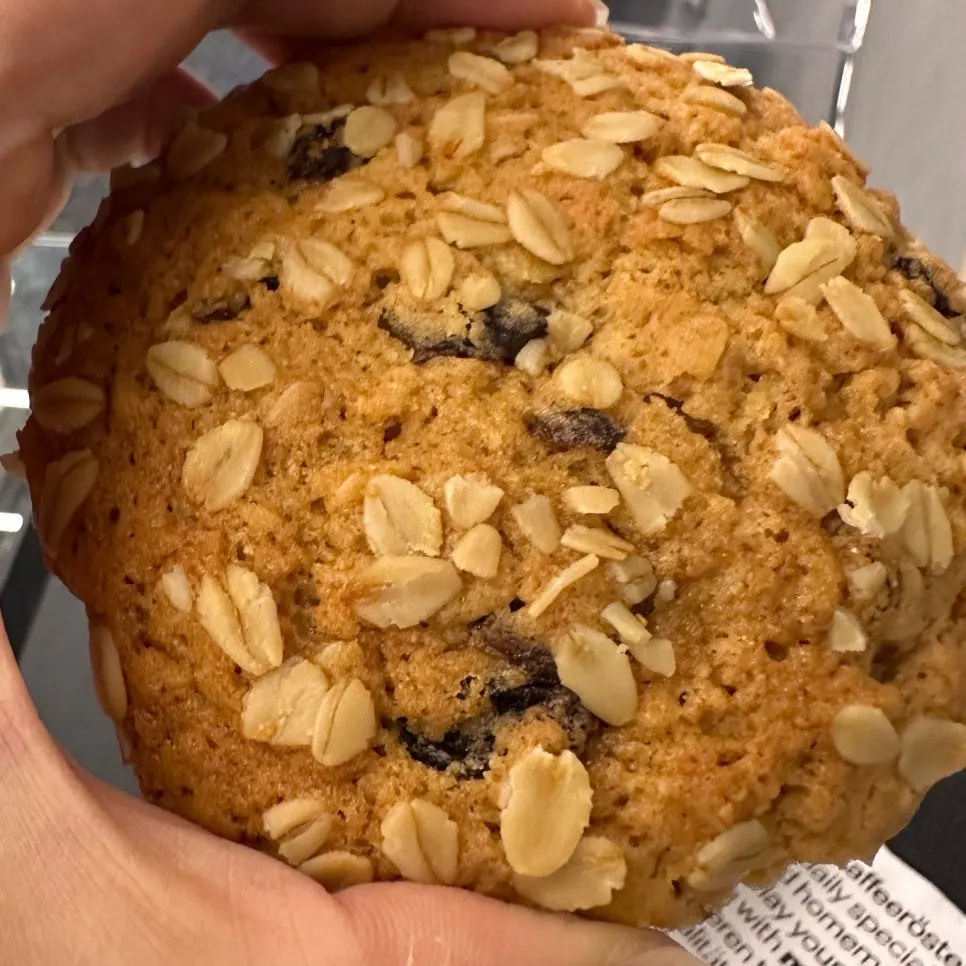 Cookie surface loaded with oatmeal and raisins