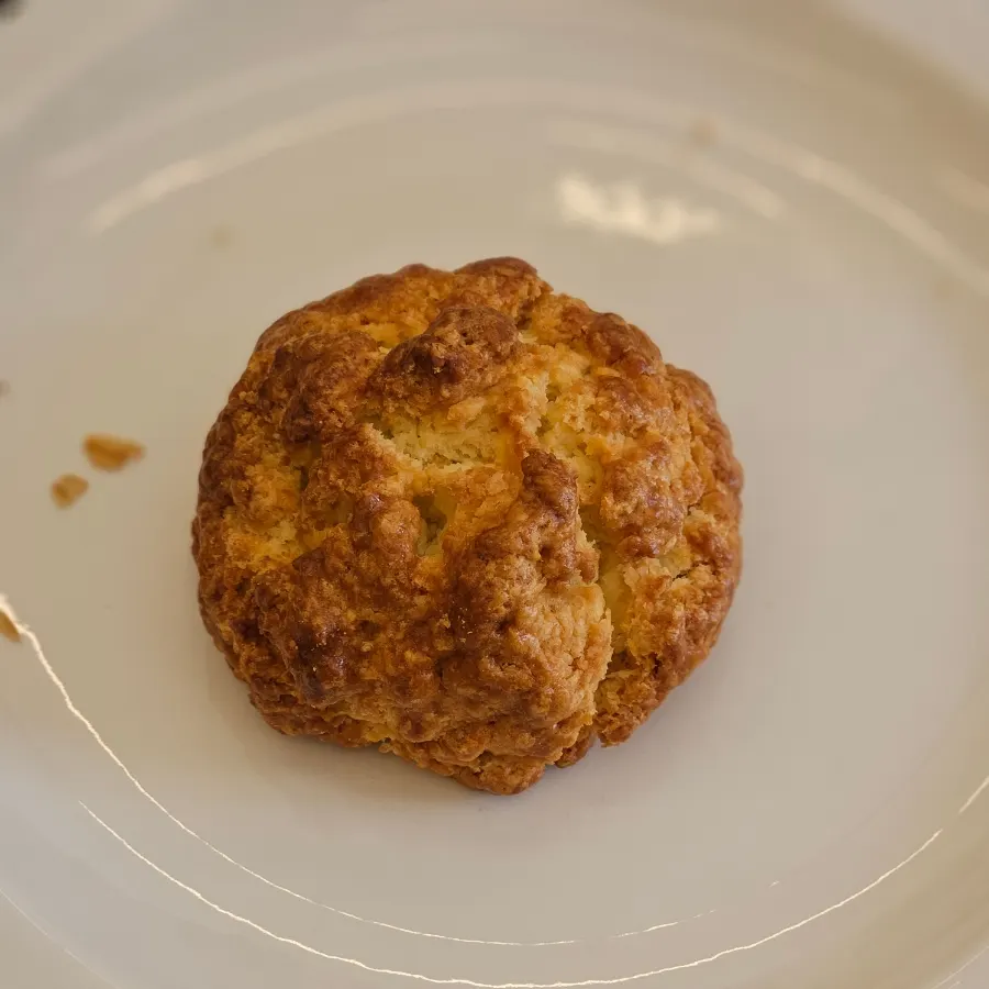 Warmed plain scone served hot