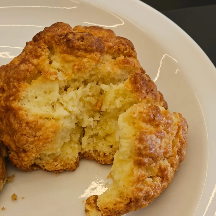 Cross-section of the dense plain scone