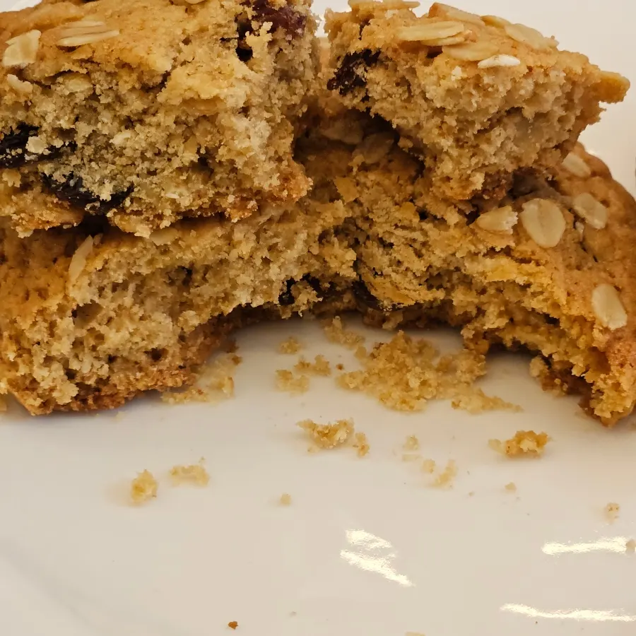 Thick homemade oatmeal raisin New York cookie