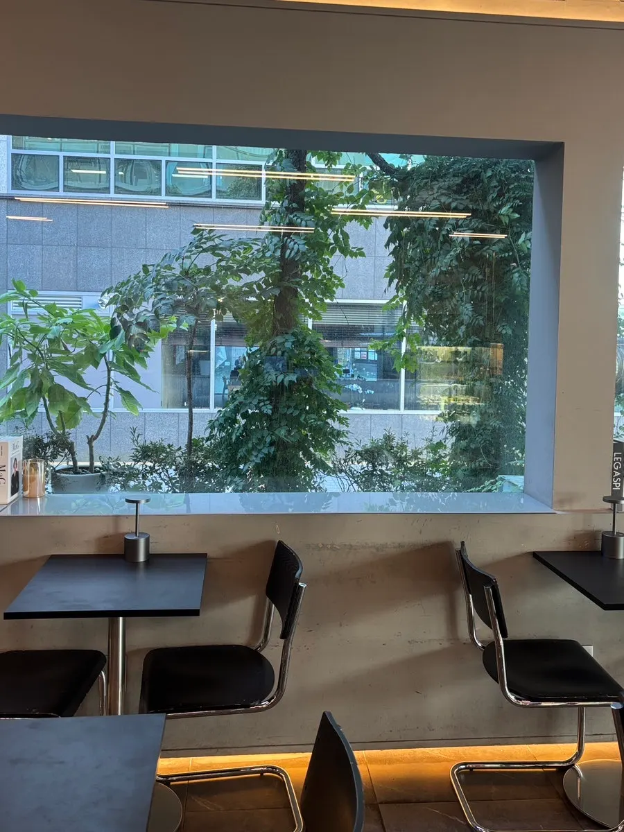 Café seat by the window with a green outdoor view