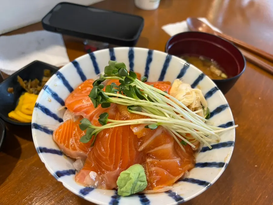 Bowl of raw salmon rice bowl (sake-don)